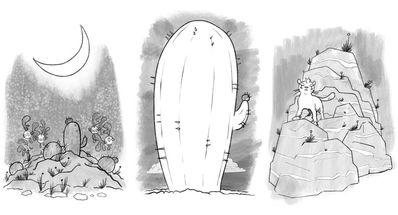 three scenes: fish floating around a cactus under the moon, a giant cactus, a cat standing on rocks